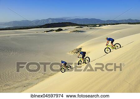 Picture - Mountain bikers with fat bikes descending sand dunes, cycling, Plaat Beach, Nature Reserve, De Kelders, Gansbaai, Western Cape, South Africa, Africa. Fotosearch