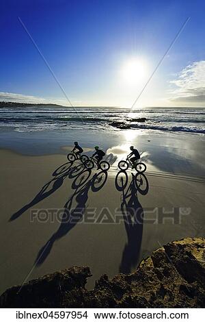 Mountain bikers with Fatbikes at the sandy beach, long shade, bicycle tour at Die Plaat Beach, Nature Reserve, De Kelders, Gansbaai, Western Cape, South Africa, Africa View Large Photo Image Picture - Mountain bikers with Fatbikes at the sandy beach, long shade, bicycle tour at Die Plaat Beach, Nature Reserve, De Kelders, Gansbaai, Western Cape, South Africa, Africa. Fotosearch