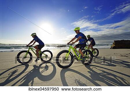 Mountain bikers with Fatbikes at the sandy beach, long shade, bicycle tour at Die Plaat Beach, Nature Reserve, De Kelders, Gansbaai, Western Cape, South Africa, Africa View Large Photo Image Stock Image - Mountain bikers with Fatbikes at the sandy beach, long shade, bicycle tour at Die Plaat Beach, Nature Reserve, De Kelders, Gansbaai, Western Cape, South Africa, Africa. Fotosearch