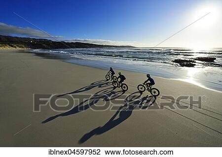 Stock Image - Mountain bikers with Fatbikes at the sandy beach, long shade, bicycle tour at Die Plaat Beach, Nature Reserve, De Kelders, Gansbaai, Western Cape, South Africa, Africa. Fotosearch