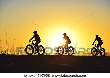 Stock Photo - Mountain bikers with Fatbikes in the back light with sunset, bicycle tour, Die Plaat Beach, Nature Reserve, De Kelders, Gansbaai, Western Cape, South Africa, Africa. Fotosearch