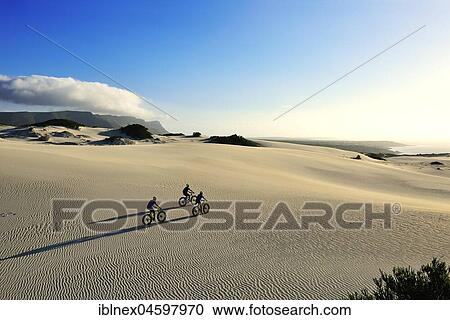 Mountain biking on fat bikes through dunes, long shadows, cycling, Nature Reserve, De Kelders, Gansbaai, Western Cape, South Africa, Africa View Large Photo Image Stock Image - Mountain biking on fat bikes through dunes, long shadows, cycling, Nature Reserve, De Kelders, Gansbaai, Western Cape, South Africa, Africa. Fotosearch