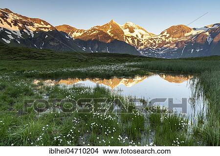 Mountain peaks in the first sunlight are reflected in a pond, Hohe Tauern, Salzburg, Austria, Europe View Large Photo Image Picture - Mountain peaks in the first sunlight are reflected in a pond, Hohe Tauern, Salzburg, Austria, Europe. Fotosearch