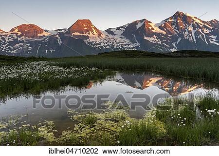 Mountain peaks in the first sunlight are reflected in a pond, Hohe Tauern, Salzburg, Austria, Europe View Large Photo Image Stock Image - Mountain peaks in the first sunlight are reflected in a pond, Hohe Tauern, Salzburg, Austria, Europe. Fotosearch