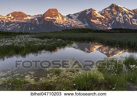 Stock Image - Mountain peaks in the first sunlight are reflected in a pond, Hohe Tauern, Salzburg, Austria, Europe. Fotosearch