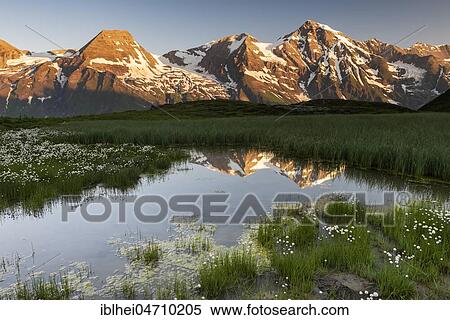 Stock Photography - Mountain peaks in the first sunlight are reflected in a pond, Hohe Tauern, Salzburg, Austria, Europe. Fotosearch