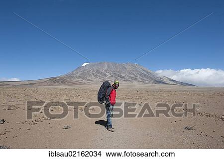 Picture - Mountaineer crossing the Kibo Saddle towards the summit of Mount Kilimanjaro, Marangu Route between East Lava Hill and Kibo Hut, Tanzania, East Africa, Africa. Fotosearch