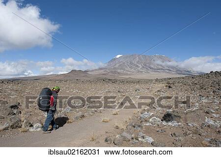 Stock Image - Mountaineer crossing the Kibo Saddle towards the summit of Mount Kilimanjaro, Marangu Route between East Lava Hill and Kibo Hut, Tanzania, East Africa, Africa. Fotosearch