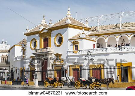 Museum, Taurino Museum, Plaza de toros de la Real, Seville, Andalusia, Spain, Europe View Large Photo Image Stock Image - Museum, Taurino Museum, Plaza de toros de la Real, Seville, Andalusia, Spain, Europe. Fotosearch