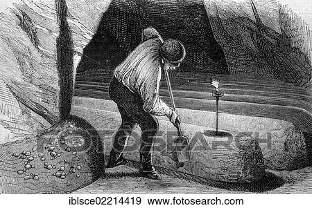 Mushroom cultivation, historical wood engraving, circa 1888 View Large Photo Image Stock Photo - Mushroom cultivation, historical wood engraving, circa 1888. Fotosearch