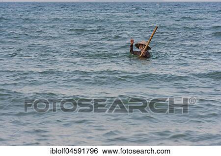 Mussel hunter, shellfish fisherman wearing a straw hat, Cua Dai beach in Hoi An, Vietnam, Asia View Large Photo Image Stock Photograph - Mussel hunter, shellfish fisherman wearing a straw hat, Cua Dai beach in Hoi An, Vietnam, Asia. Fotosearch