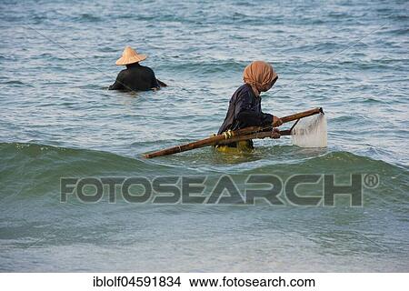 Mussel hunters, shellfish fishermen wearing straw hats, Cua Dai beach in Hoi An, Vietnam, Asia View Large Photo Image Picture - Mussel hunters, shellfish fishermen wearing straw hats, Cua Dai beach in Hoi An, Vietnam, Asia. Fotosearch