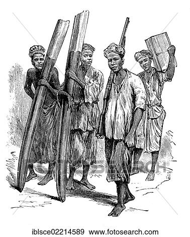 Native burden-bearers carrying ivory in the Congo, historical woodcut, circa 1888 View Large Photo Image Stock Photo - Native burden-bearers carrying ivory in the Congo, historical woodcut, circa 1888. Fotosearch