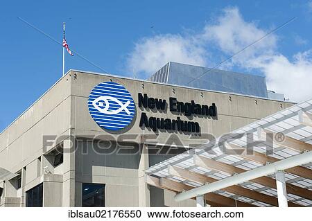 New England Aquarium, Boston, Massachusetts, New England, USA, North America View Large Photo Image Stock Image - New England Aquarium, Boston, Massachusetts, New England, USA, North America. Fotosearch