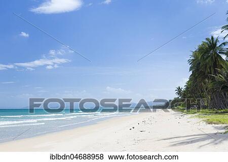 Stock Photo - . Fotosearch