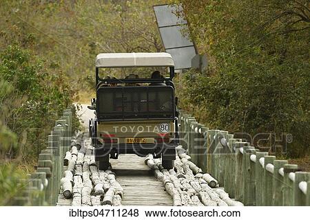 Off-road vehicle drives over narrow simple wooden bridge, Okavango Delta, Botswana, Africa View Large Photo Image Stock Photo - Off-road vehicle drives over narrow simple wooden bridge, Okavango Delta, Botswana, Africa. Fotosearch
