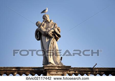 One of the 144 saint statues on the colonnades of St. Peter's Square, with a seagull on his head, Rome, Italy, Europe View Large Photo Image Stock Image - One of the 144 saint statues on the colonnades of St. Peter's Square, with a seagull on his head, Rome, Italy, Europe. Fotosearch
