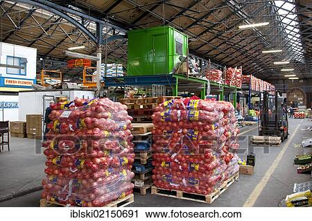 Oranges in the wholesale market, Dublin City Fruit and Vegetable Market, in a Victorian indoor market hall in the Smithfield area, Dublin, Ireland, Europe View Large Photo Image Stock Image - Oranges in the wholesale market, Dublin City Fruit and Vegetable Market, in a Victorian indoor market hall in the Smithfield area, Dublin, Ireland, Europe. Fotosearch