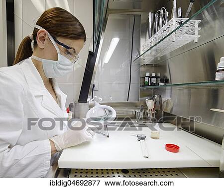Pathologist dissecting a skin tumor removed from a patient for microscopic examination View Large Photo Image Stock Photo - Pathologist dissecting a skin tumor removed from a patient for microscopic examination. Fotosearch