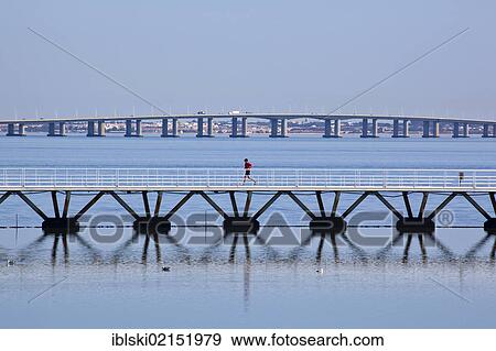 Pedestrian bridge and Ponte Vasco da Gama bridge crossing the Rio Tejo River, on the grounds of the Parque das Nacoes, site of World Expo 98 in Lisbon, Portugal, Europe View Large Photo Image Stock Photo - Pedestrian bridge and Ponte Vasco da Gama bridge crossing the Rio Tejo River, on the grounds of the Parque das Nacoes, site of World Expo 98 in Lisbon, Portugal, Europe. Fotosearch