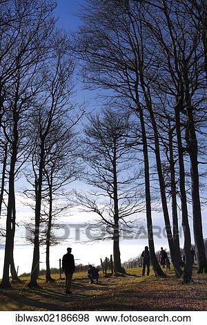People strolling on Kandel Mountain, 1241 m above sea level, Black Forest, Baden-Wuerttemberg, Germany, Europe, PublicGround, Europe View Large Photo Image Stock Photo - People strolling on Kandel Mountain, 1241 m above sea level, Black Forest, Baden-Wuerttemberg, Germany, Europe, PublicGround, Europe. Fotosearch