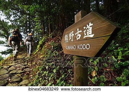 Pilgrims on footpath, Nakahechi route, Kumano Kodo pilgrim path, Kii-Mountains, Wakayama, Honshu Island, Japan, Asia View Large Photo Image Stock Photo - Pilgrims on footpath, Nakahechi route, Kumano Kodo pilgrim path, Kii-Mountains, Wakayama, Honshu Island, Japan, Asia. Fotosearch