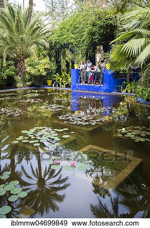 Stock Photo - Pond, Jardin Majorelle Botanical Garden, former owners Yves Saint-Laurent and Pierre Bergé, Marrakech, Morocco, Africa. Fotosearch