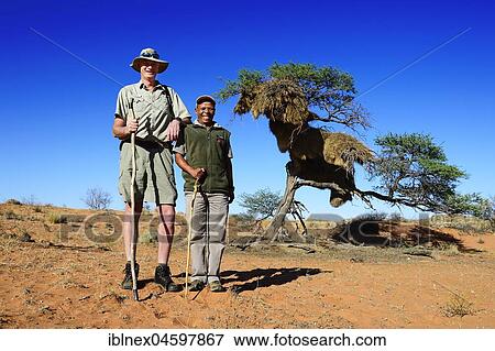 Stock Photo - Ranger of the! Xaus Lodge, Kalahari or Kgalagadi Transfrontier Park, North Cape, South Africa, Africa. Fotosearch