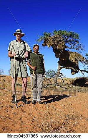 Stock Photograph - Ranger of the! Xaus Lodge, Kalahari or Kgalagadi Transfrontier Park, North Cape, South Africa, Africa. Fotosearch