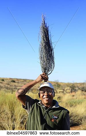 Stock Image - Ranger of! Xaus Lodge shows how a Bushman grows up, Kalahari or Kgalagadi Transfrontier Park, North Cape, South Africa, Africa. Fotosearch