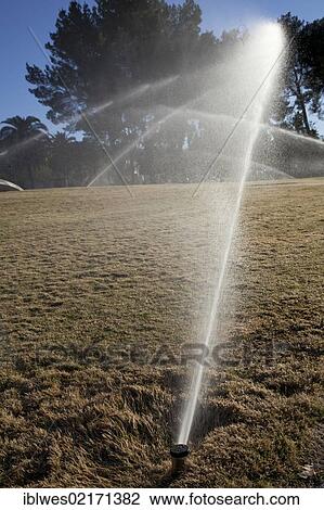 Stock Image - Recycled water is used to irrigate Reid Park; recycled or reclaimed water is wastewater that is treated to be safe for various uses short of drinking, Tucson, Arizona, USA, North America. Fotosearch