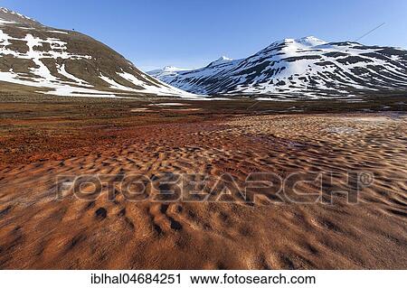 Reddish snow fields in front of snow-covered mountains, Öxnadalsheiði plateau, Tröllaskagi peninsula, northern Iceland View Large Photo Image Stock Image - Reddish snow fields in front of snow-covered mountains, Öxnadalsheiði plateau, Tröllaskagi peninsula, northern Iceland. Fotosearch