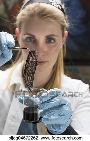 Stock Image - Restoration studio, restorer, woman holds a piece of linen with tweezers in a colour sample for supporting tissue, Munich, Bavaria, Germany, Europe. Fotosearch