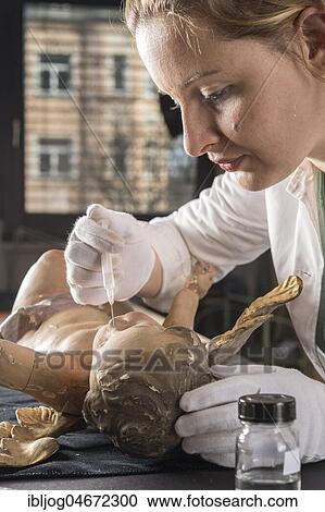 Stock Image - Restoration studio, restorer, woman holding syringe with fish glue on angel face, for fixing the filling material, Munich, Bavaria, Germany, Europe. Fotosearch