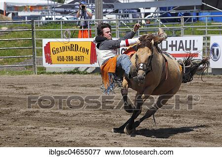 Saddle bronc riding competition, Valleyfield Rodeo, Valleyfield, Quebec Province, Canada, North America View Large Photo Image Stock Photo - Saddle bronc riding competition, Valleyfield Rodeo, Valleyfield, Quebec Province, Canada, North America. Fotosearch