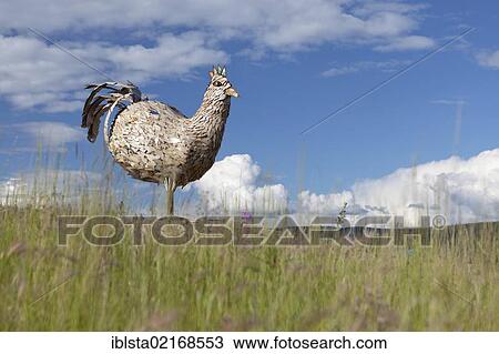Sculpture of a chicken, mascot of the small village of Chicken, an old gold rush town in Alaska, USA, PublicGround, North America View Large Photo Image Stock Image - Sculpture of a chicken, mascot of the small village of Chicken, an old gold rush town in Alaska, USA, PublicGround, North America. Fotosearch