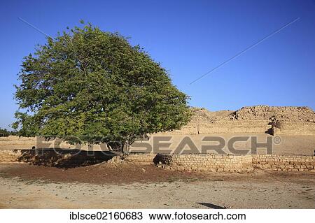 Settlement remains of the city and incense port of Al-Baleed, UNESCO World Heritage Site, Salalah, Oman, Arabian Peninsula, Middle East, Asia View Large Photo Image Stock Image - Settlement remains of the city and incense port of Al-Baleed, UNESCO World Heritage Site, Salalah, Oman, Arabian Peninsula, Middle East, Asia. Fotosearch