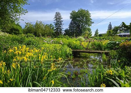 Stock Image - Show garden, Gaißmayer perennial nursery, Illertissen, Swabia, Bavaria, Germany, Europe. Fotosearch