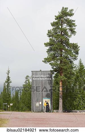 Stock Image - Sign next to an old pine tree, Scots Pine (Pinus sylvestris), Fulufjaellets National Park near Saerna, Dalarna province, Sweden, Scandinavia, Northern Europe, Europe. Fotosearch