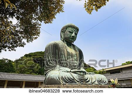 Stock Photo - Sitting Buddha Amida Nyorai, Buddhist Temple Kōtoku-in, Kamakura, Honshu Island, Japan, Asia. Fotosearch