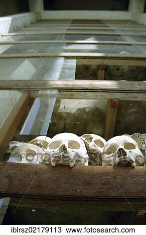 Skulls, Killing Fields Memorial Tower near Phnom Penh, Cambodia, Southeast Asia, Asia View Large Photo Image Stock Image - Skulls, Killing Fields Memorial Tower near Phnom Penh, Cambodia, Southeast Asia, Asia. Fotosearch