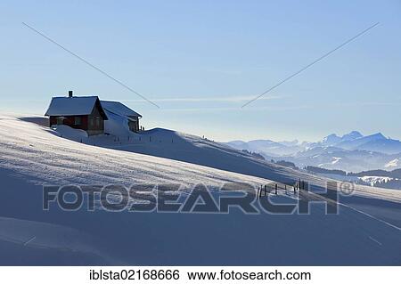 Small pasture in the high alp with views of Mt Rigi and Eastern Switzerland, Appenzell, Switzerland, Europe View Large Photo Image Stock Photograph - Small pasture in the high alp with views of Mt Rigi and Eastern Switzerland, Appenzell, Switzerland, Europe. Fotosearch