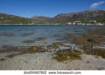 Sommarøy Island, Troms Province, Northern Norway, Norway, Europe View Large Photo Image Stock Image - Sommarøy Island, Troms Province, Northern Norway, Norway, Europe. Fotosearch
