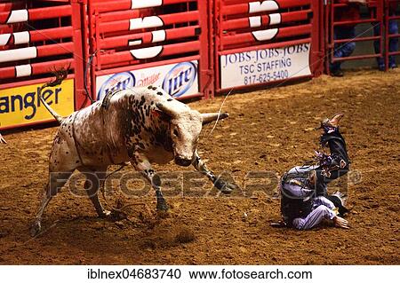 Stockyards Championship Rodeo, Stockyards National Historic District, Fort Worth, Texas, USA, North America View Large Photo Image Stock Image - Stockyards Championship Rodeo, Stockyards National Historic District, Fort Worth, Texas, USA, North America. Fotosearch