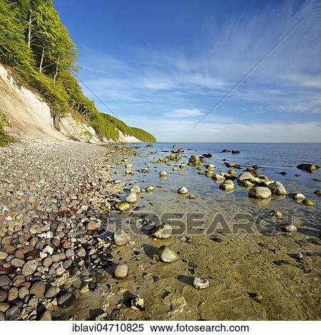 Stock Photography - Stone beach, boulders and chalk cliffs, shallow water, Jasmund National Park, Rügen Island, Mecklenburg-Western Pomerania, Germany, Europe. Fotosearch