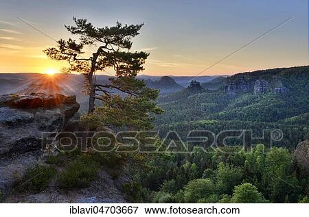 Sunrise at Kleiner Winterberg, pine on sandstone rocks, view of Lorenzsteine and Hinteres Raubschloss, also Winterstein, Elbe Sandstone Mountains, Saxon Switzerland National Park, Saxony, Germany, Europe View Large Photo Image Stock Photo - Sunrise at Kleiner Winterberg, pine on sandstone rocks, view of Lorenzsteine and Hinteres Raubschloss, also Winterstein, Elbe Sandstone Mountains, Saxon Switzerland National Park, Saxony, Germany, Europe. Fotosearch