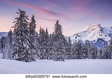 Sunset, Alp Sellamatt, Switzerland, Europe View Large Photo Image Stock Image - Sunset, Alp Sellamatt, Switzerland, Europe. Fotosearch