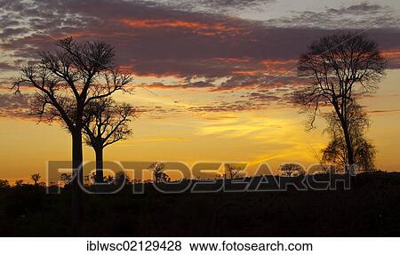 Sunset, Antsiraraka, Madagascar, Africa View Large Photo Image Stock Photo - Sunset, Antsiraraka, Madagascar, Africa. Fotosearch