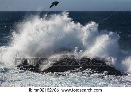Surf on the rocky coast, Big Sur, California, USA, North America View Large Photo Image Stock Photography - Surf on the rocky coast, Big Sur, California, USA, North America. Fotosearch