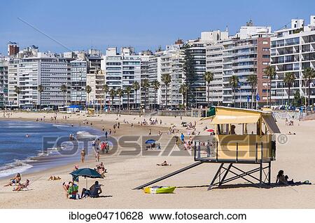 Stock Photo - Swimmers at the city beach, lifeguard tower and skyscrapers in Montevideo, Uruguay, South America. Fotosearch